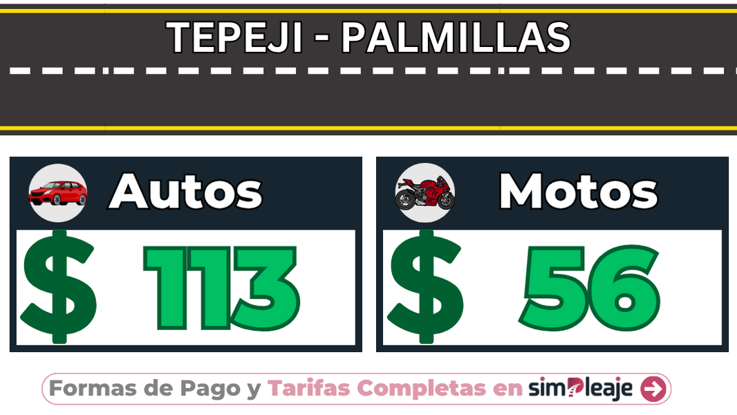 TEPEJI – PALMILLAS